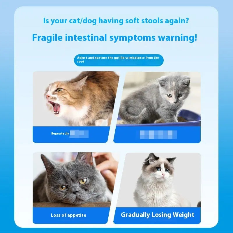 Bottle of 180 pet probiotic chewable tablets for cats and dogs.
