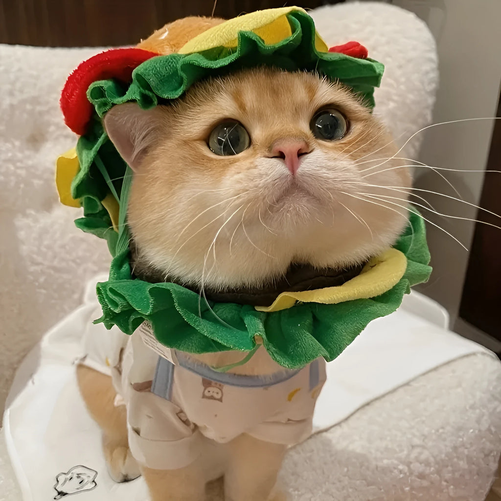 A cat wearing a soft cotton cartoon hamburger headdress with an adjustable neck strap.