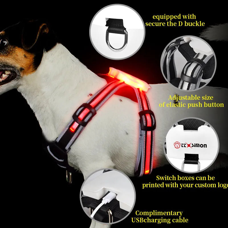 Nylon dog lead with luminous seven-colour strap and attached charging cable.