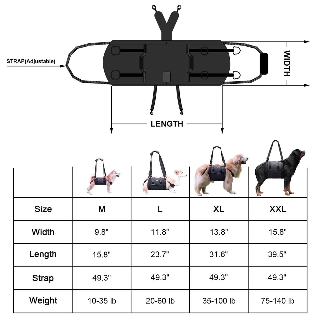 Black Oxford cloth dog harness with leg support and breast strap on medium-sized dog