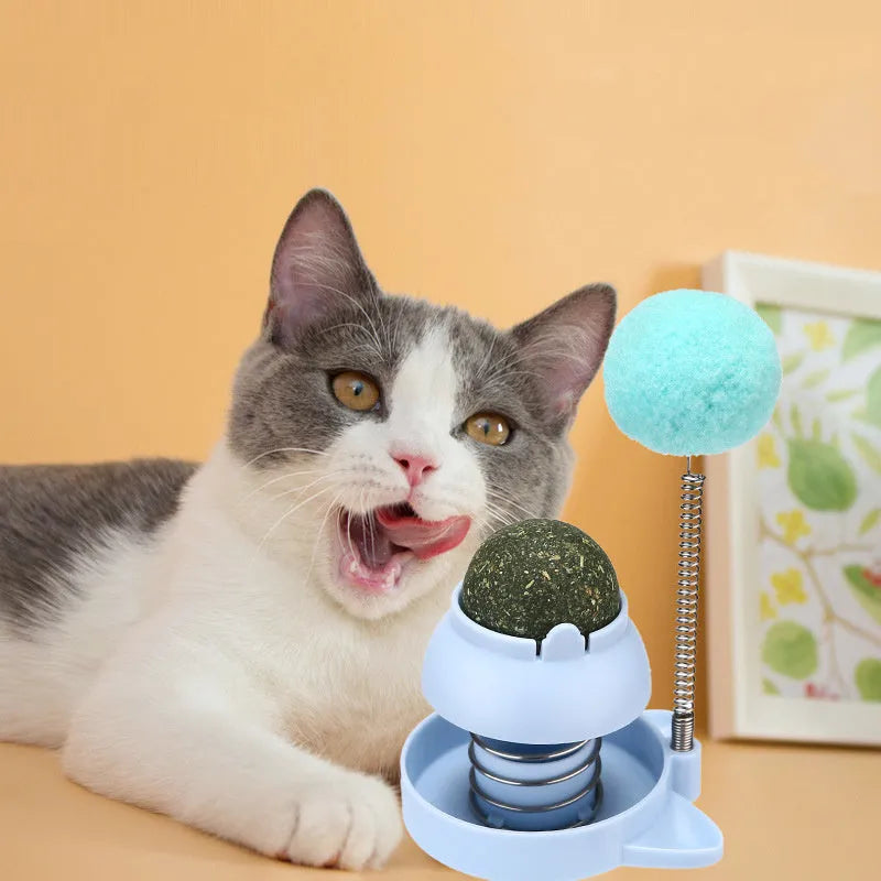 Blue, orange, and pink lucky cat design mint balls for cat dental care and play.