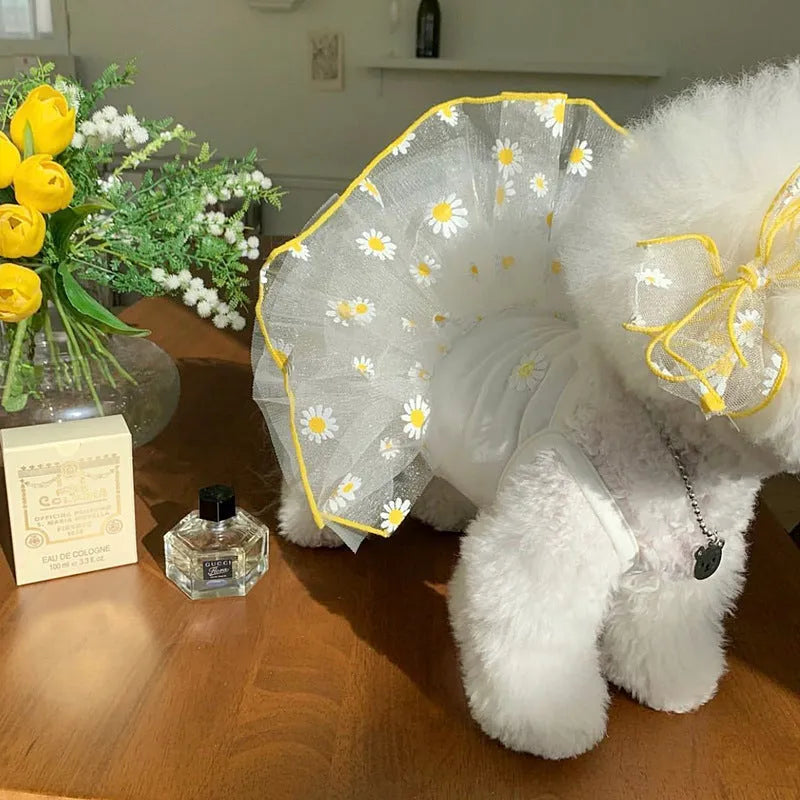 Yellow daisy floral print dog clothes in lightweight polyester fabric for summer wear