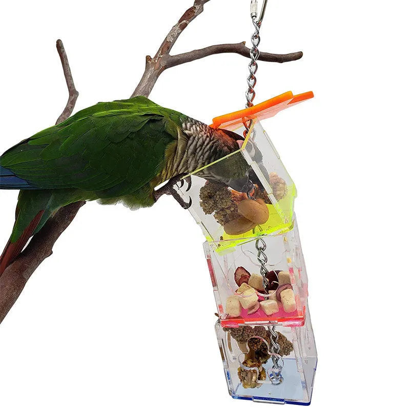 Transparent acrylic parrot foraging toy, 32 cm tall food container for bird nuts and fruit.