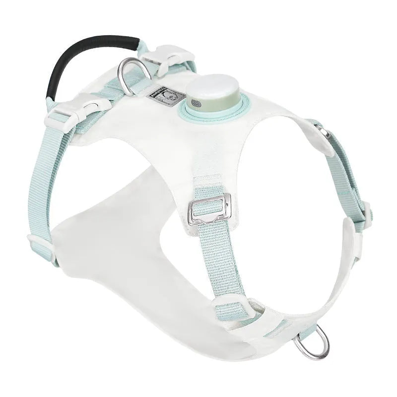 LED dog chest harness in multiple colours with adjustable straps for nighttime safety during walks