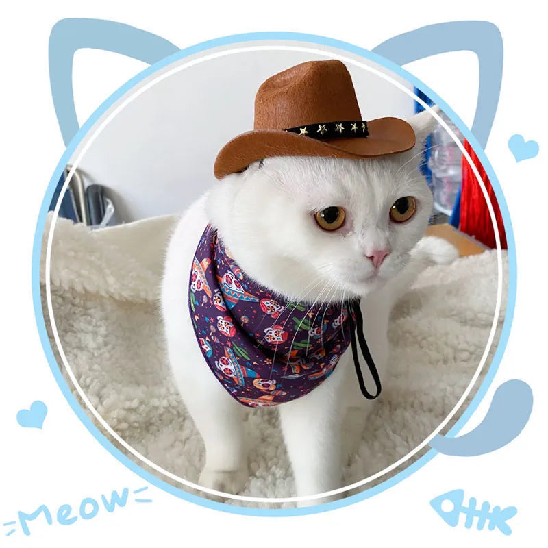 British cowboy hat for dogs and cats with decorative trim options