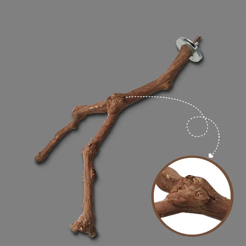 Natural grape wood bird stand pole for parrot cage, unique vine perch