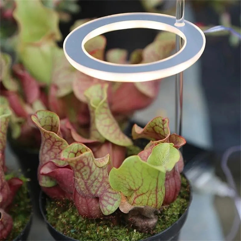 USB LED full spectrum plant grow light with acrylic stick on a table.