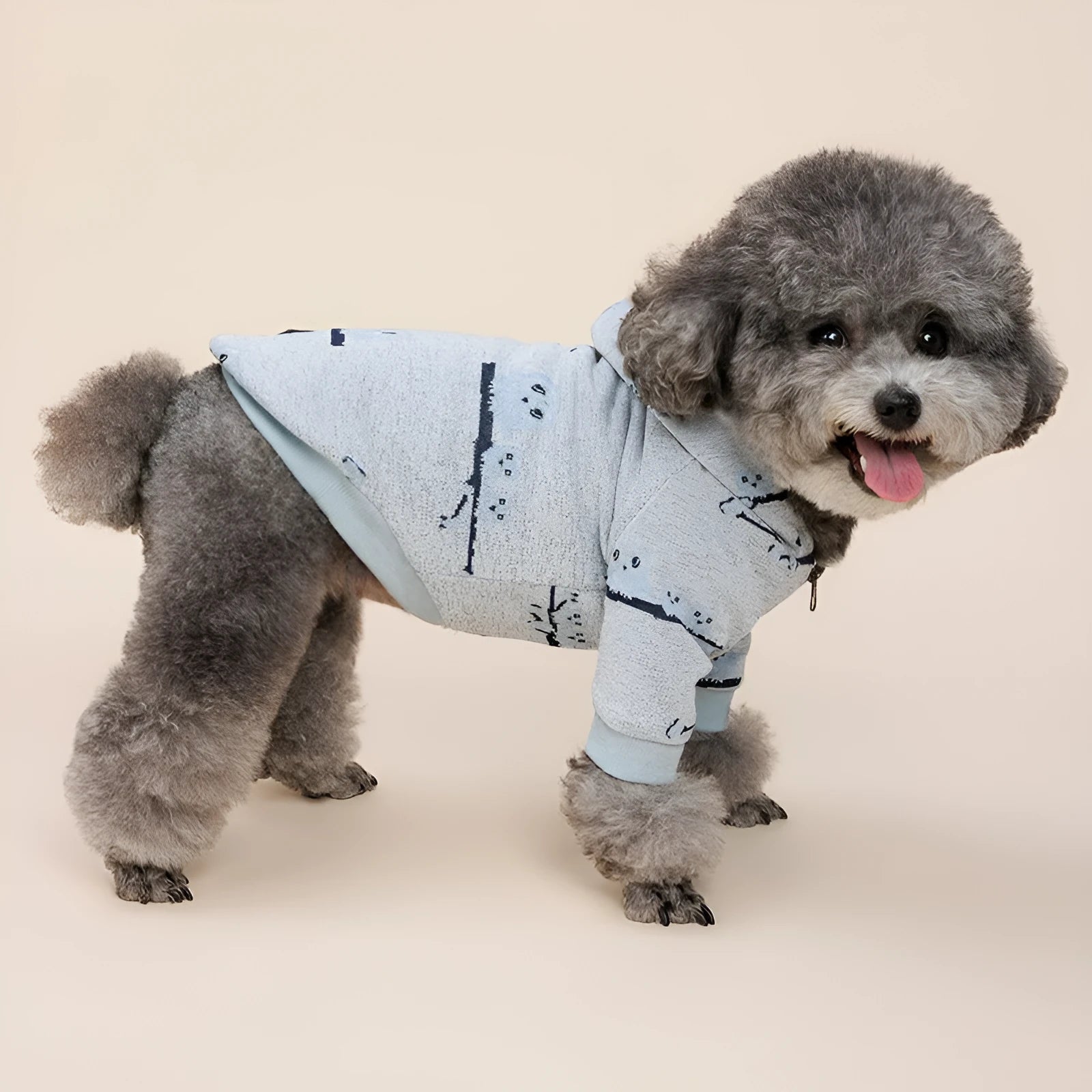 Blue casual dog sweater with full-length front zipper on a small dog