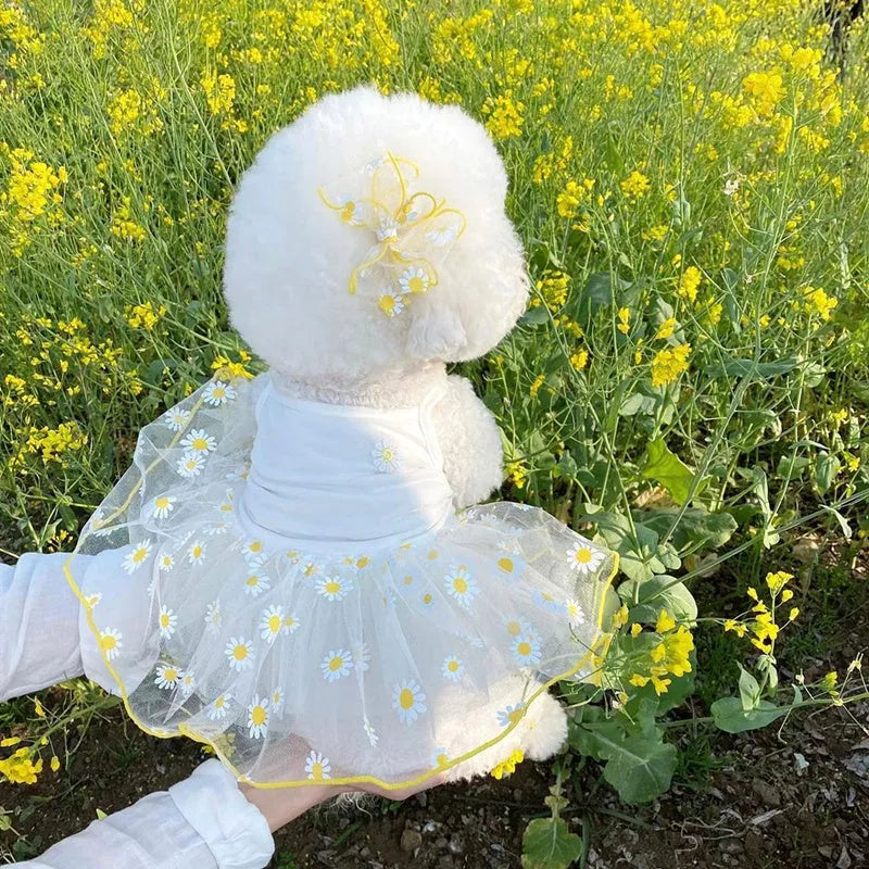 Yellow daisy floral print dog clothes in lightweight polyester fabric for summer wear