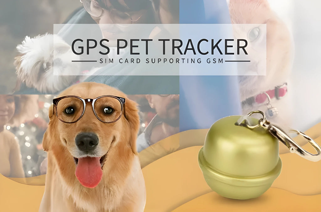 GPS dog collar pet locator unit attached to a collar strap, shown in available colours.