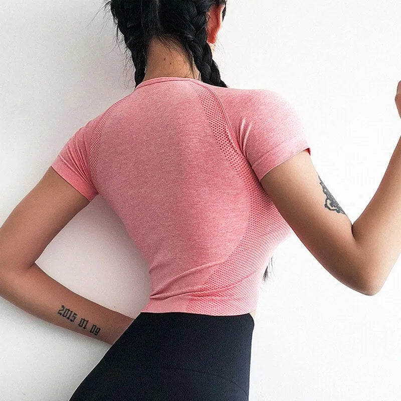 Seamless jacquard crop top for women in plain pattern, available in Dark Grey, Pink, Purple, sizes S M L