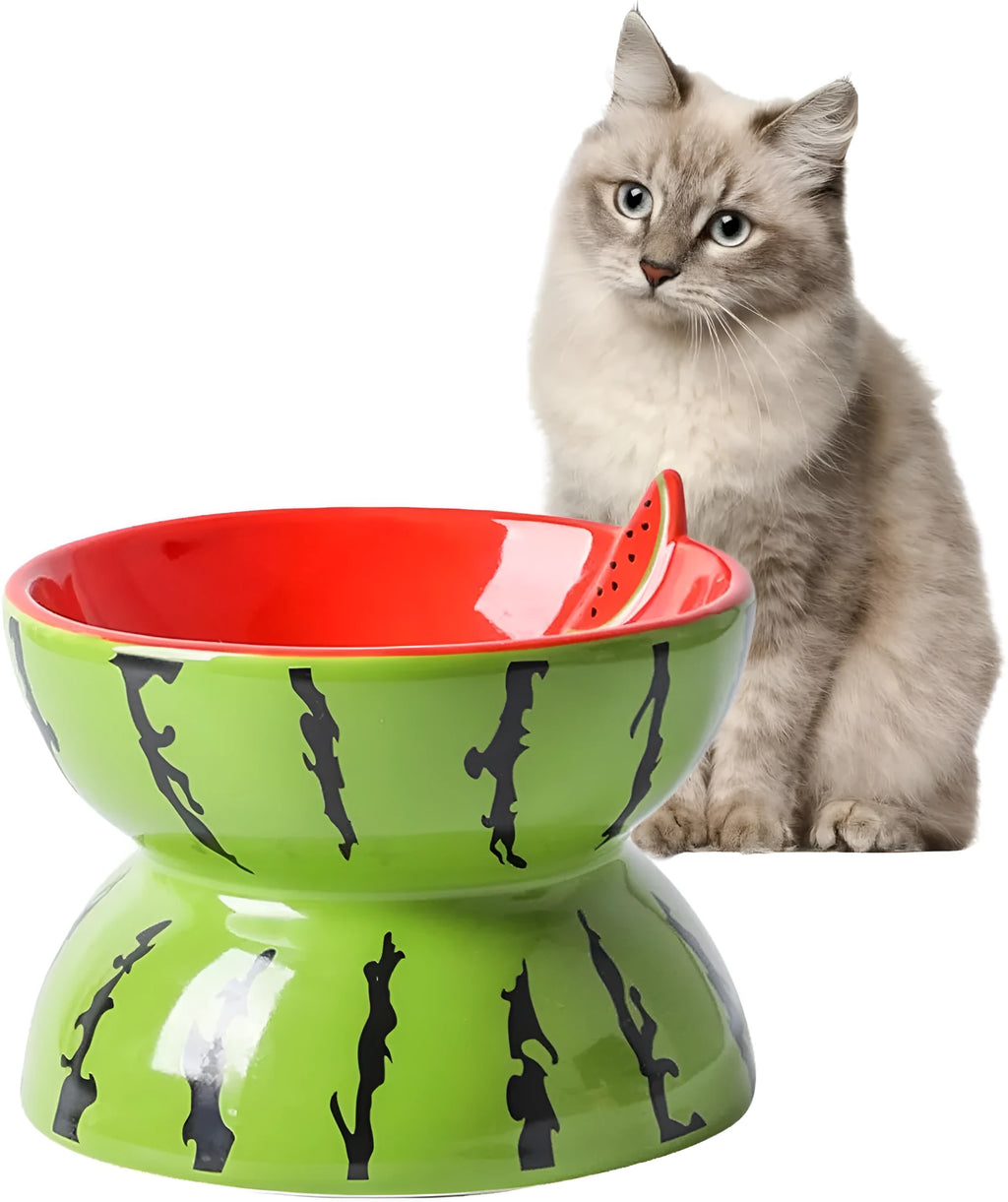 Ceramic raised cat bowl with tilted design in orange, pitaya, or watermelon patterns