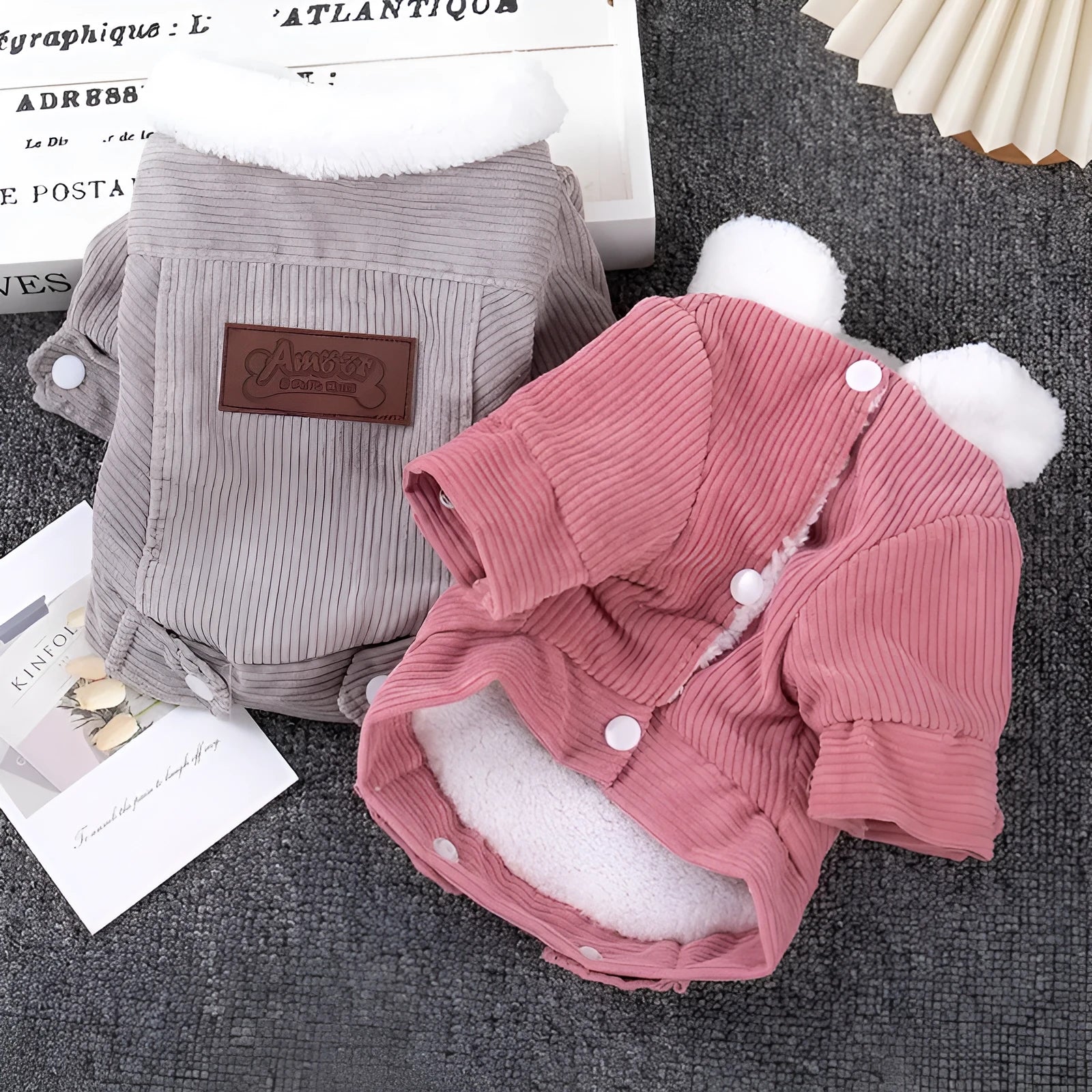 Dog wearing grey lambswool vest with fleece lining for autumn and winter warmth