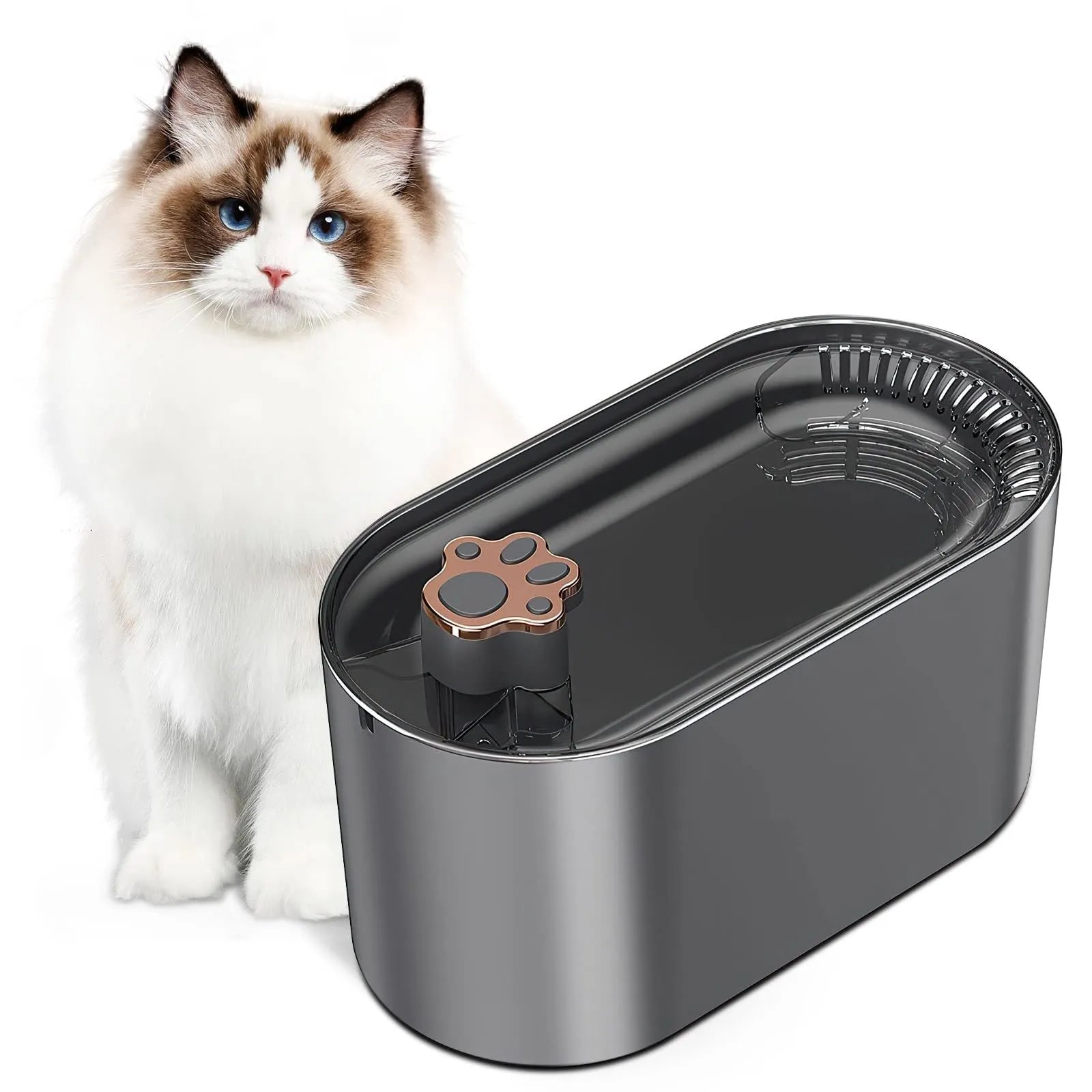 Berlin Blue 3-litre automatic pet water fountain with filter and LED light on a wooden floor.
