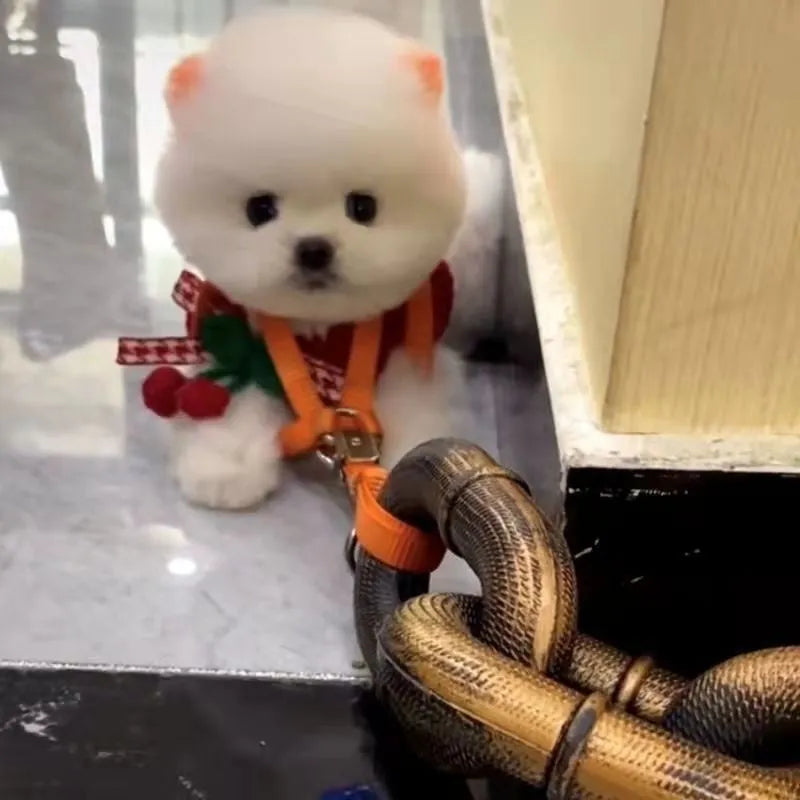 Simulated metal dog leash prop in bronze, antique silver or black colour for video production