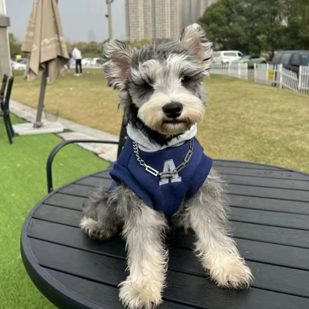 Blue and grey-white reflective letters pet hoodie for dogs and cats on mannequin