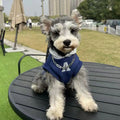 Blue and grey-white reflective letters pet hoodie for dogs and cats on mannequin