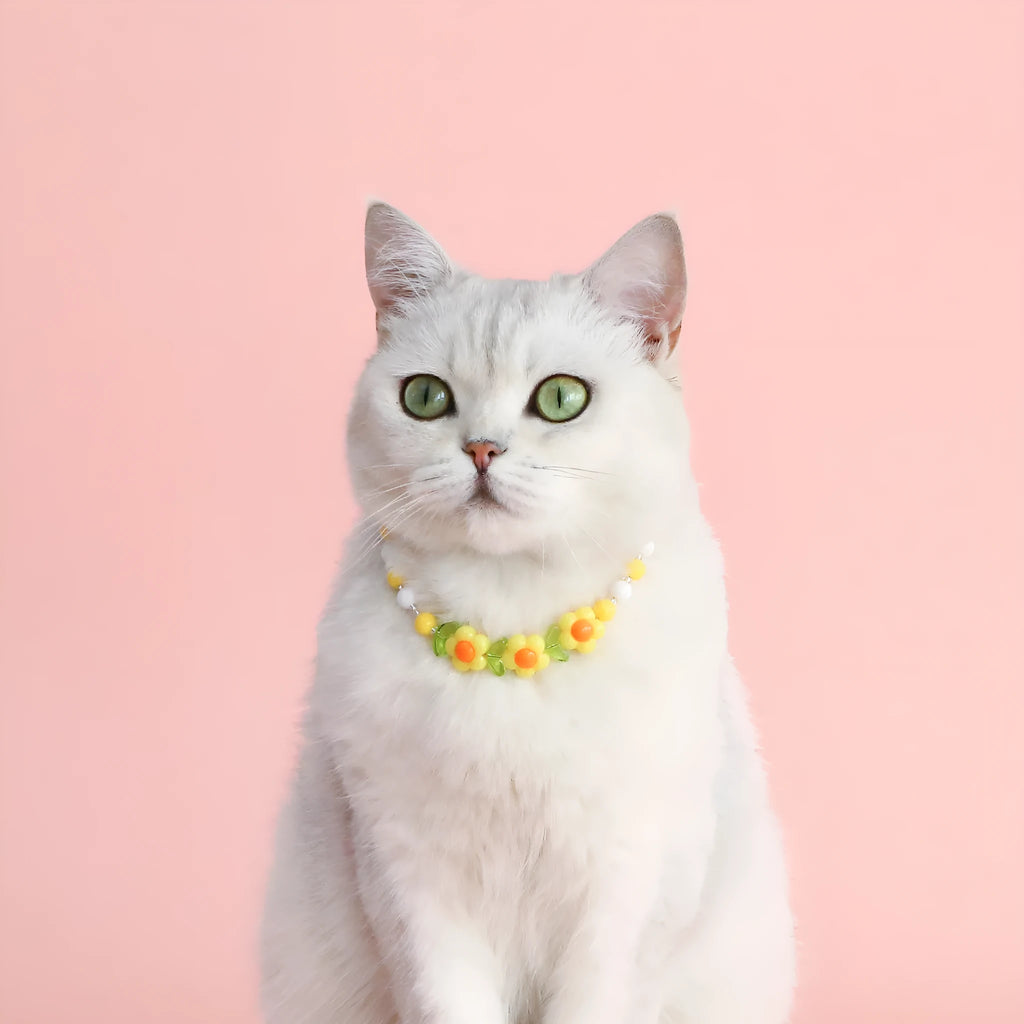 Colourful plastic bead cat necklace in small flower, rainbow, or peach design on a cat.