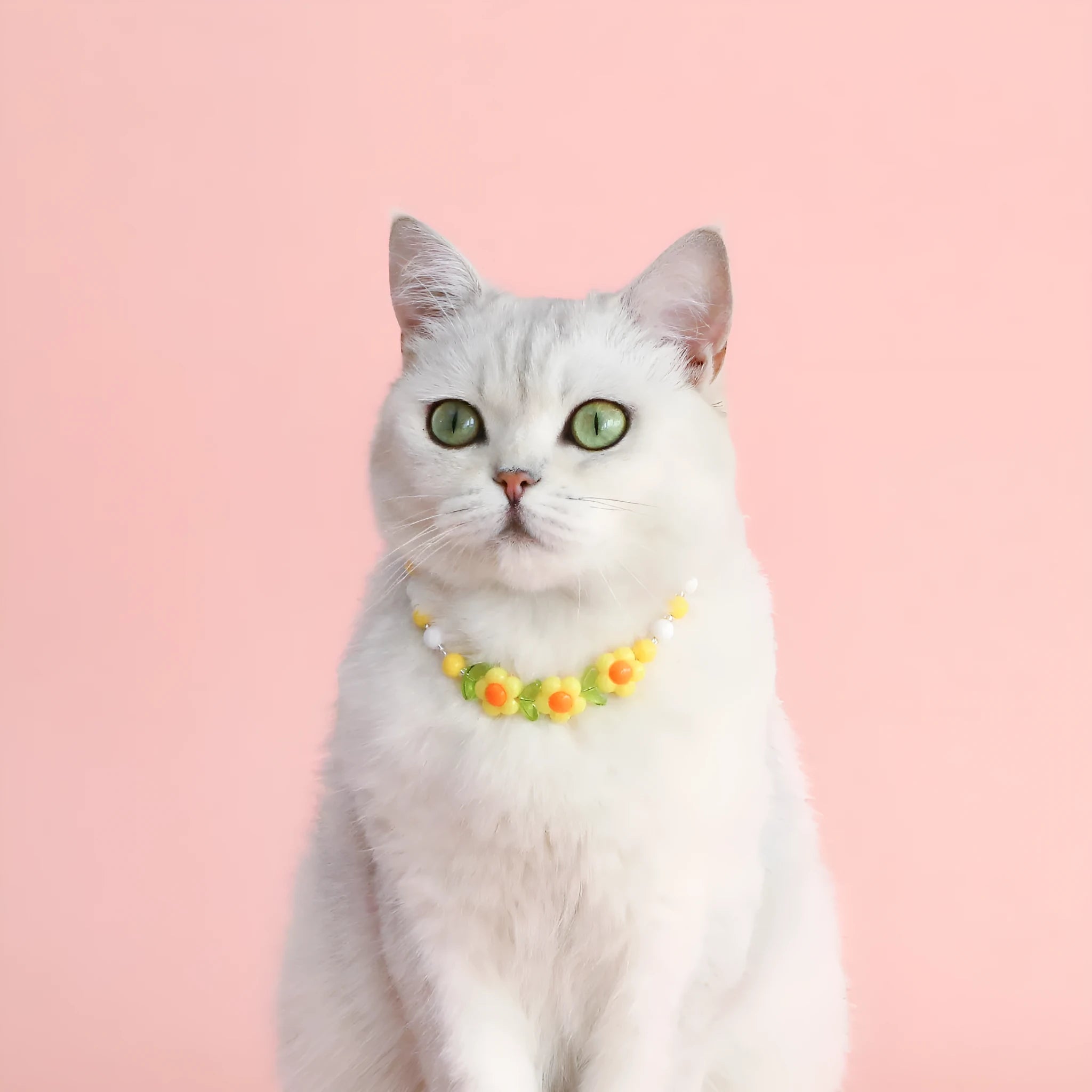 Colourful plastic bead cat necklace in small flower, rainbow, or peach design on a cat.
