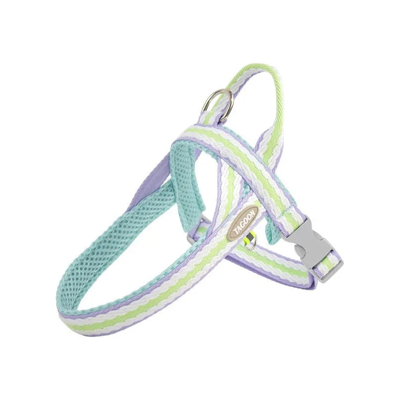 Lightweight polyester dog harness and hand-holding traction rope in sea salt yellow colour on a small dog.
