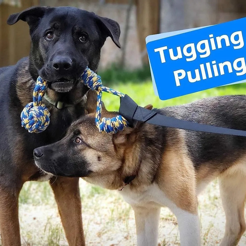 Green cotton dog tug rope toy with corncob chewable element for indoor outdoor bite play