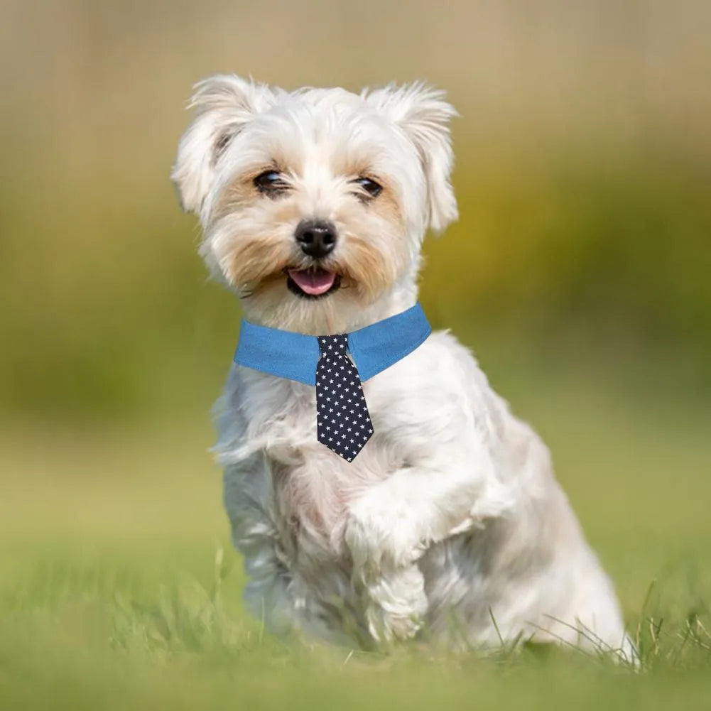 Blue denim dog collar styled as a necktie with white star pattern, showing fastener tape adjustment.