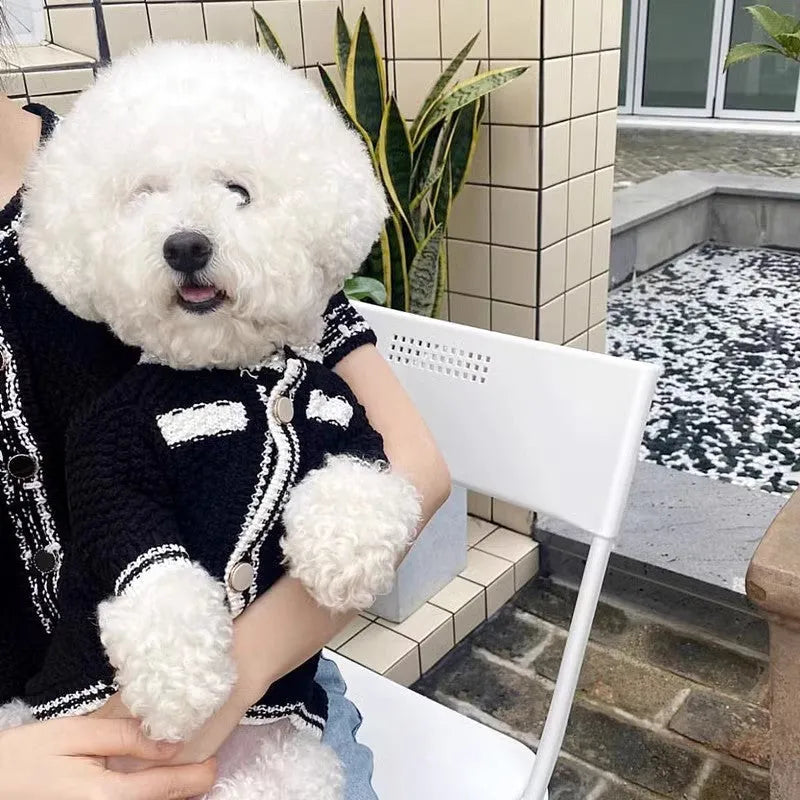 White Korean style dog sweater with pearl collar on small dog, showing princess cut and decorative details