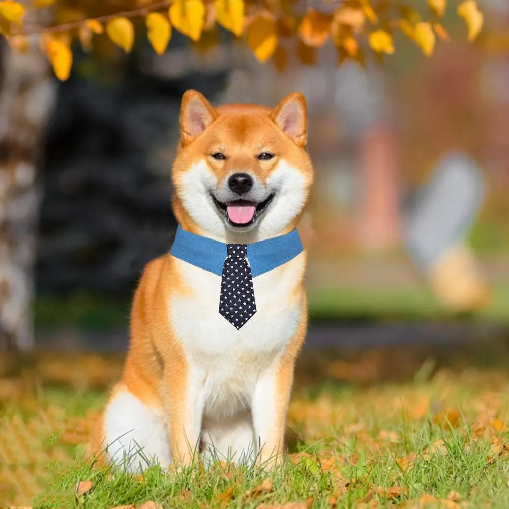Blue denim dog collar styled as a necktie with white star pattern, showing fastener tape adjustment.