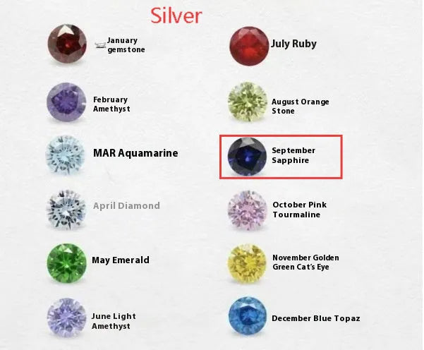 Titanium steel zodiac birthstone necklace with monthly pendant and zircon stone on princess chain