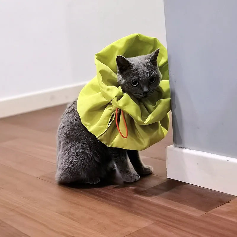 Adjustable soft cat cone collar in light blue protecting wound while allowing eating access