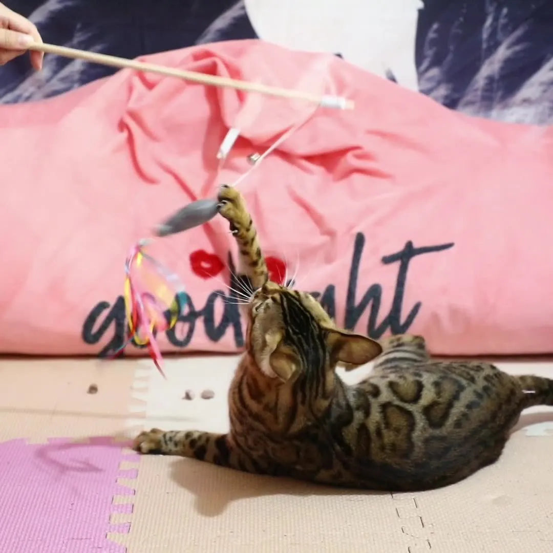 Wooden handle cat wand toy with catnip fish, ribbons and bell attachment in blue colour