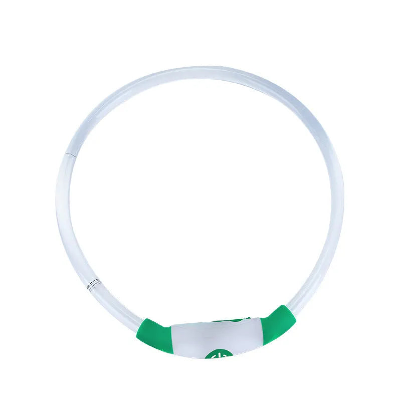 Blue USB rechargeable LED dog collar glowing around dog's neck with adjustable 70cm length