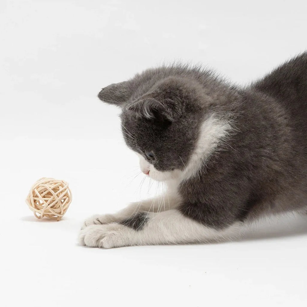 Two cat toy balls: hollow rattan sphere and faux feather ball with bell