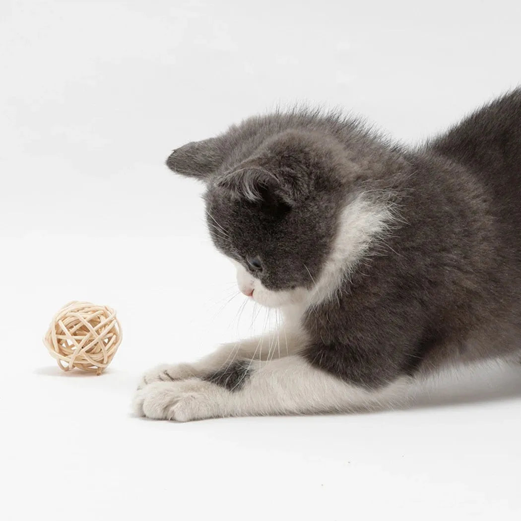 Two cat toy balls: hollow rattan sphere and faux feather ball with bell