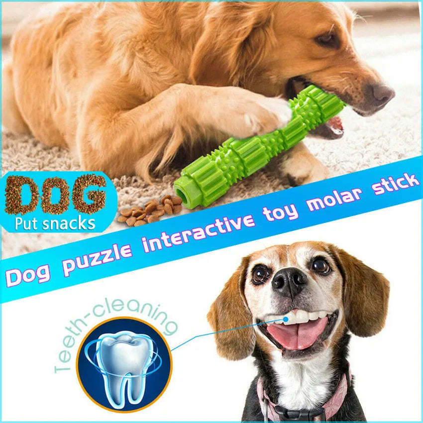 Green and orange rubber dog chew toy with treat dispensing opening and textured teeth cleaning surface