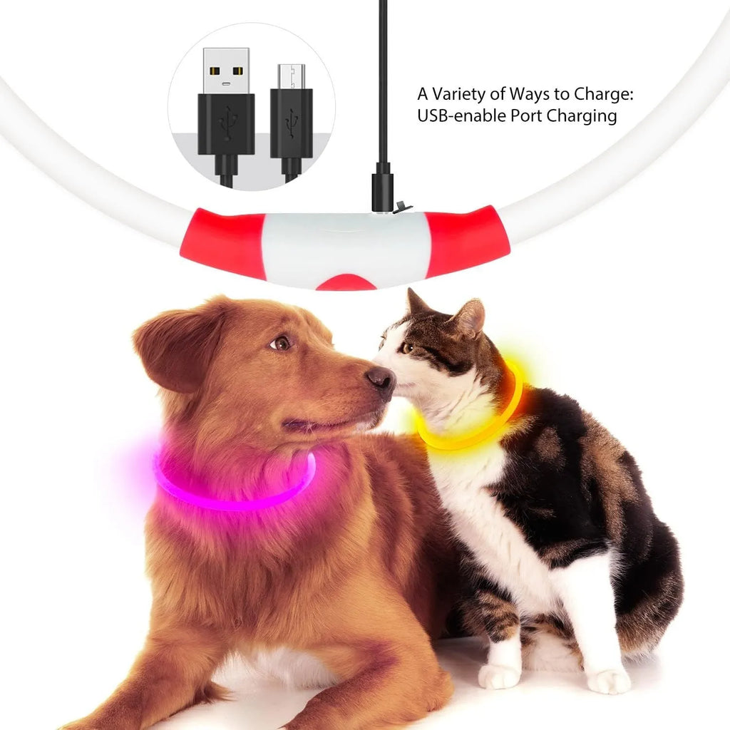 Blue USB rechargeable LED dog collar glowing around dog's neck with adjustable 70cm length