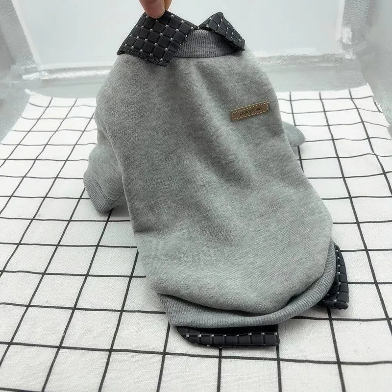 Grey dog jumper with detachable collar hoodie on small breed pet showing two-piece construction