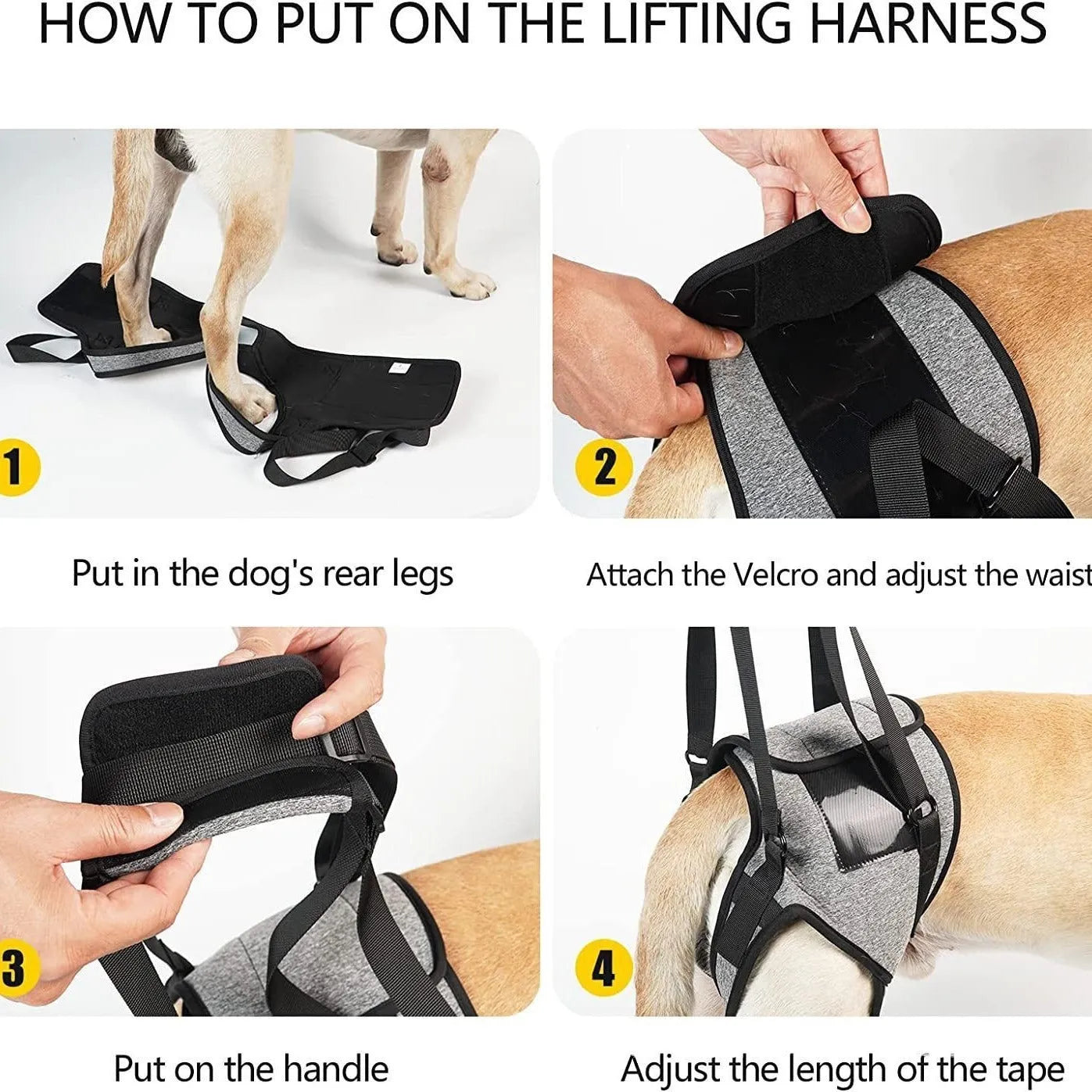 Grey neoprene dog recovery belt for injured rear leg support with adjustable sizing