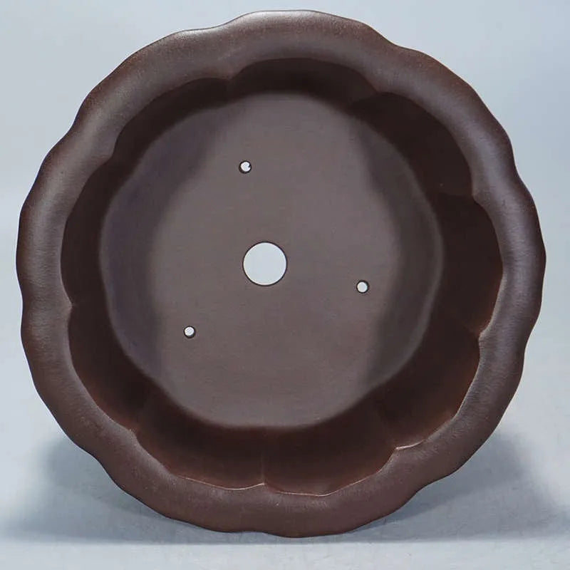 Antique purple-red mud succulent bonsai pot in classical Chinese petal basin style.