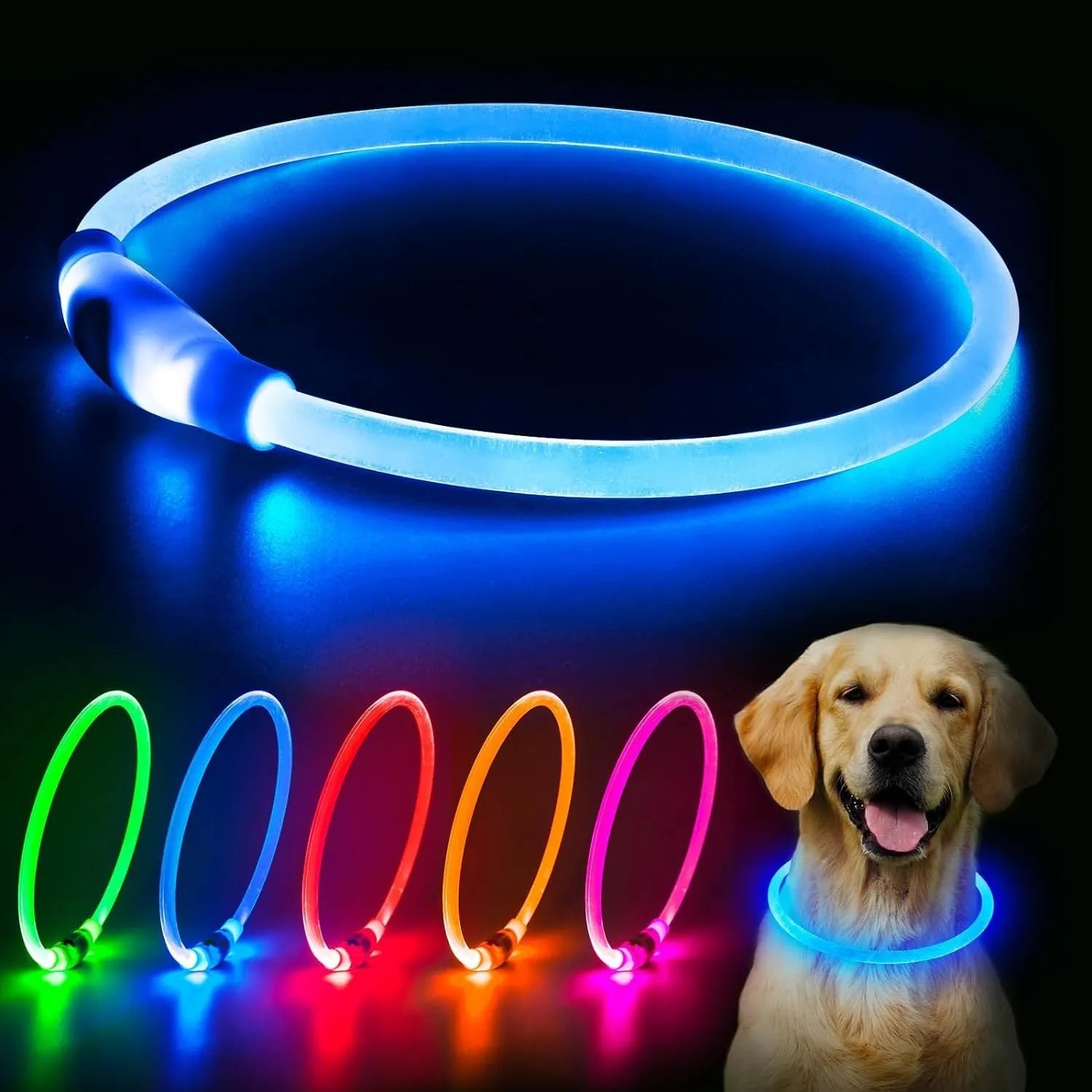 Blue USB rechargeable LED dog collar glowing around dog's neck with adjustable 70cm length