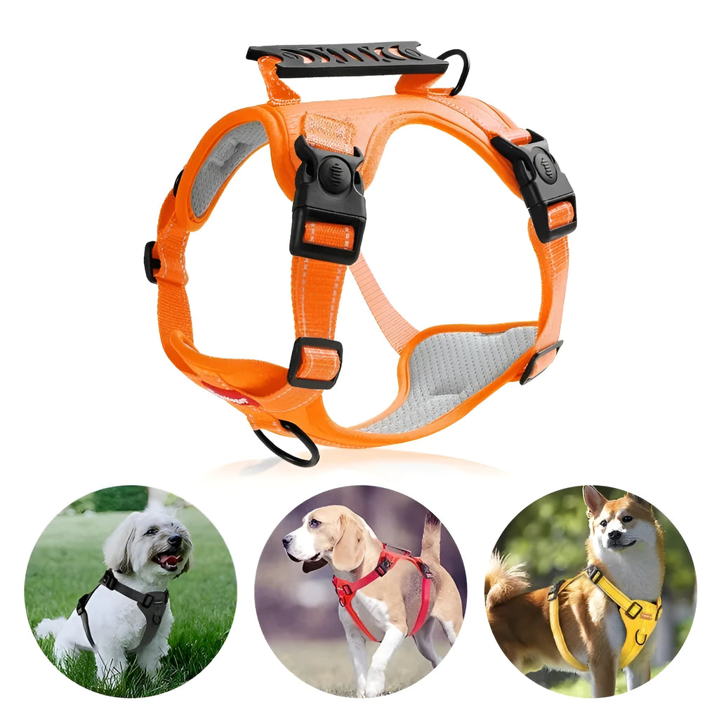 Polyester dog harness chest strap lead set in multiple colours with adjustable fitting