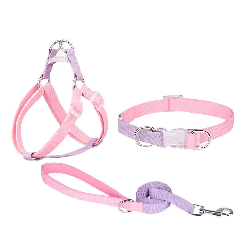 Polyester ribbon dog collar set with hand holding rope and chest strap in multiple colour options