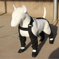 Black waterproof non-slip dog shoes in six sizes with adjustable straps for paw protection