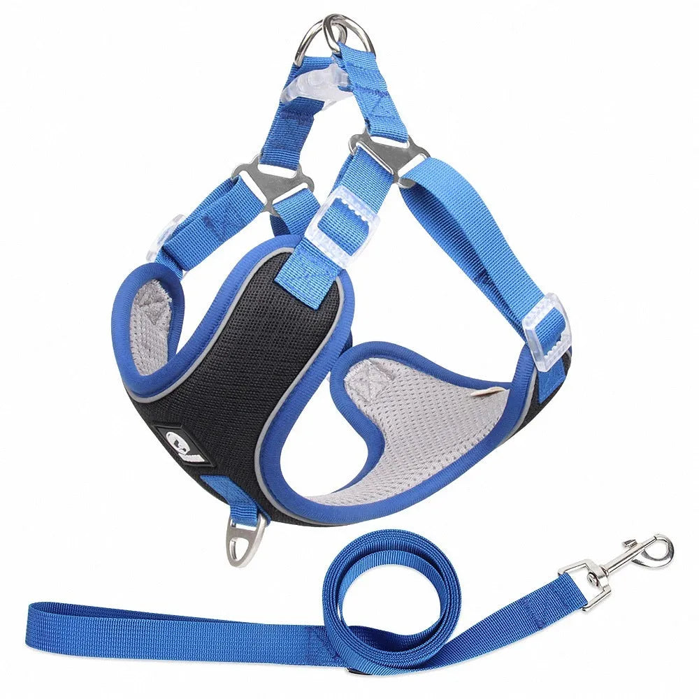 Adjustable mesh dog harness with reflective trim in multiple colours for small medium pets