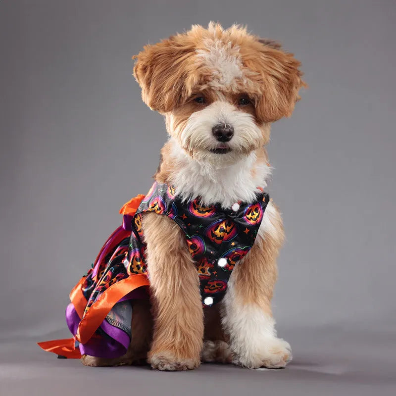 Halloween dog skirt with colourful pumpkin and skull prints in double-layer polyester
