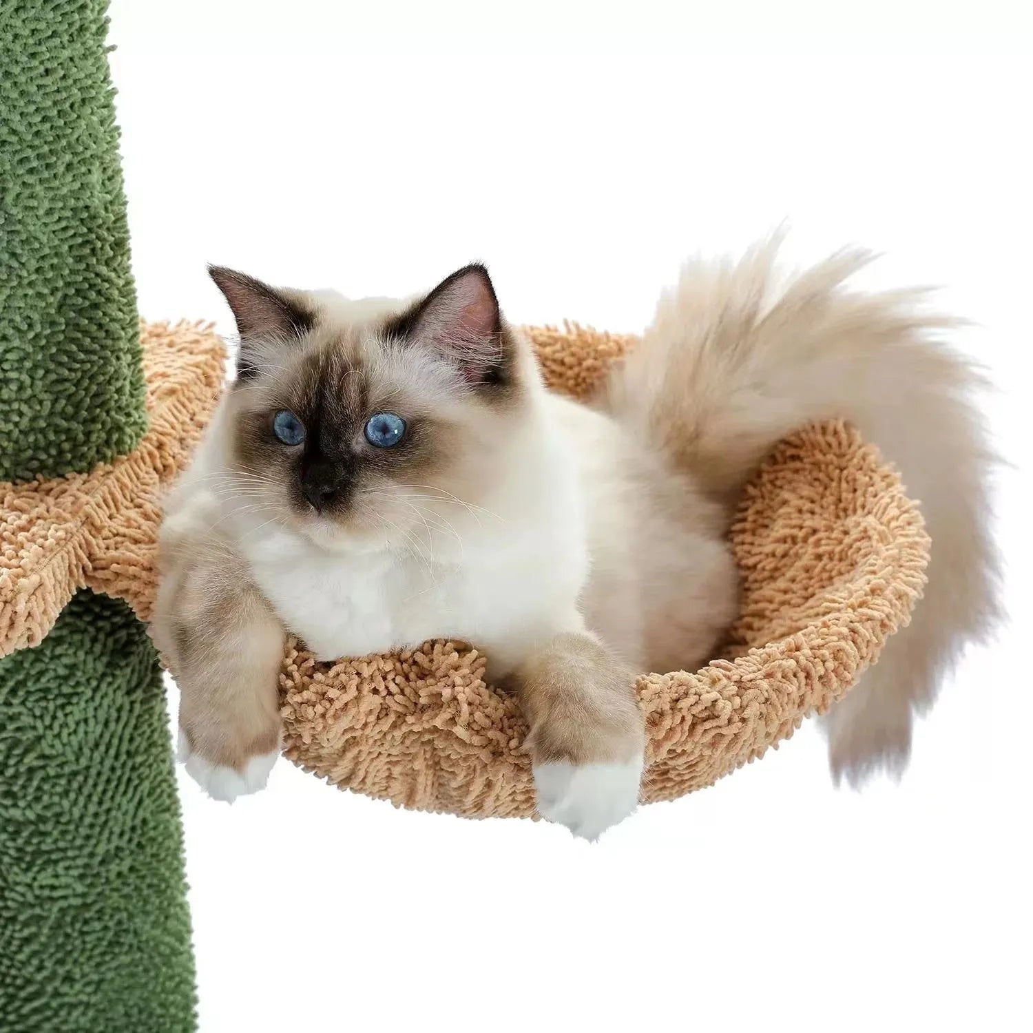 Tall solid wood cat climbing frame with integrated scratch board, cat nest, and hanging toy