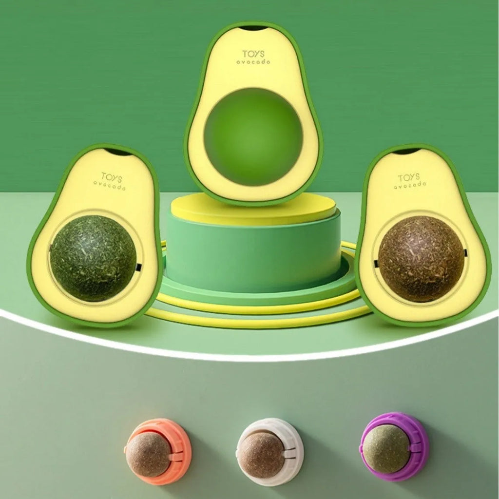 Plastic catnip ball toy in assorted colours with a textured surface for feline teeth cleaning.