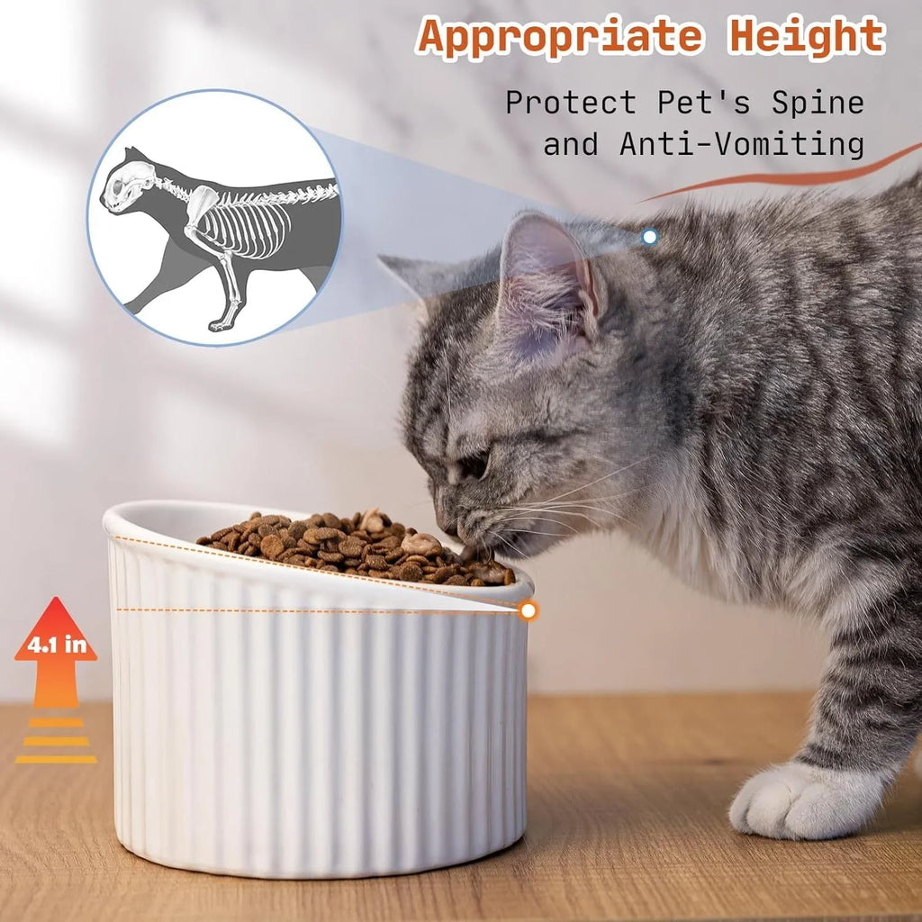 A dark green ceramic elevated cat bowl on a wooden surface, showing its tilted, round shape.