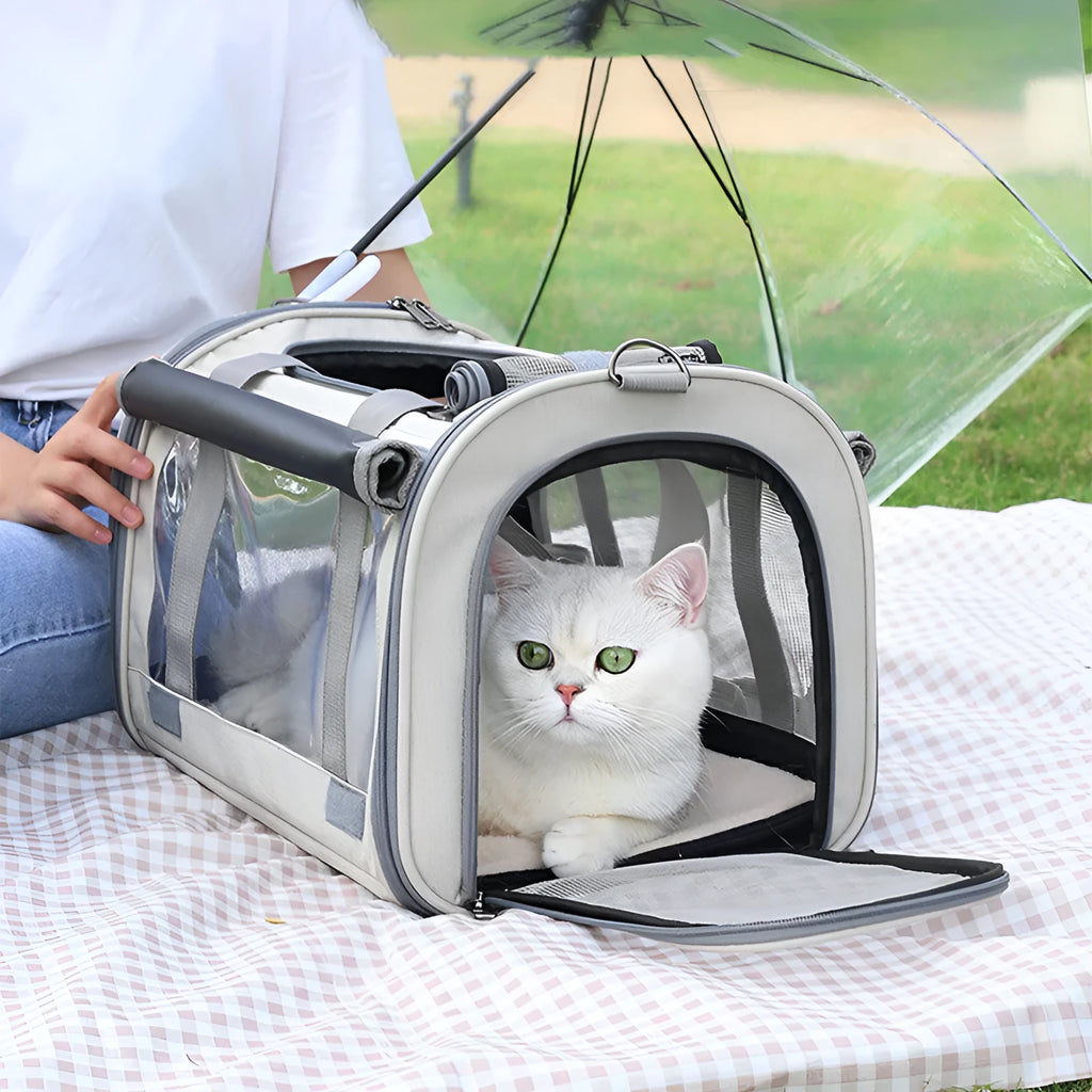 Outdoor portable pet bag in black with transparent panels and mesh sides, folded and shown next to a cat