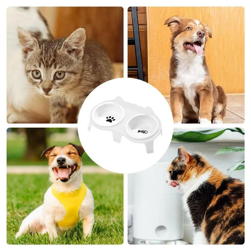 Ceramic cat food and water bowl set on a white tilted ABS stand, shown in blue colour